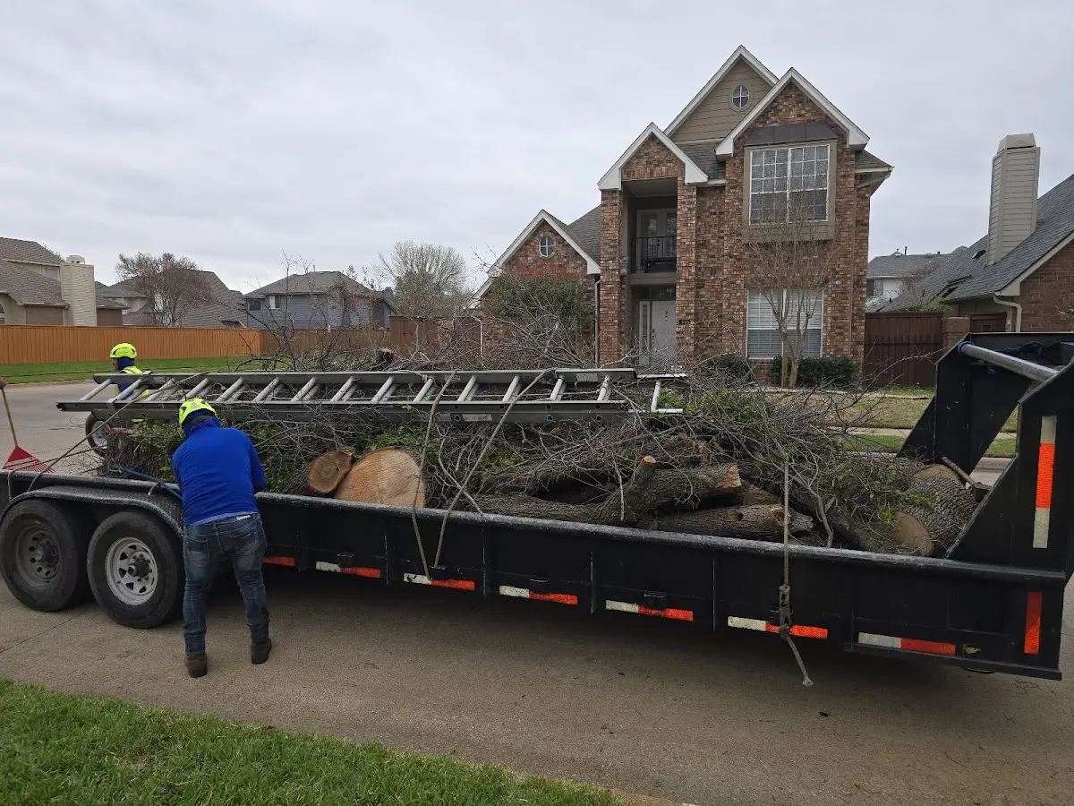 Expert Tree Removal with proper safety equipment in Shrewsbury